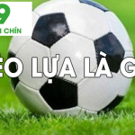 processed keo lua chau au don gian 1