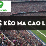 processed ty le keo macao tong quan