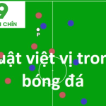 processed viet vi trong bong da tim hieu